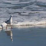 Albatros Woggon 度假居
