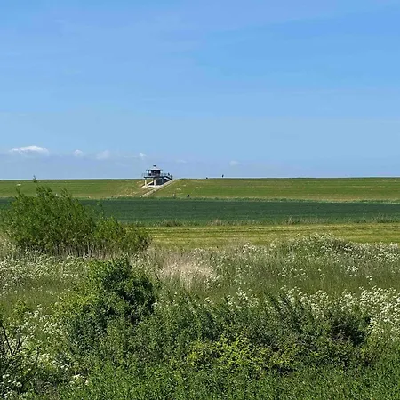 Albatros Woggon Hébergement de vacances *